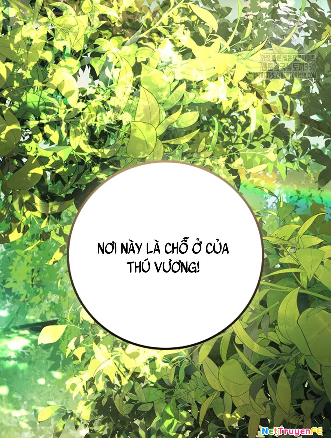 Thực Long Ma Pháp Sư Chapter 70 - Trang 4