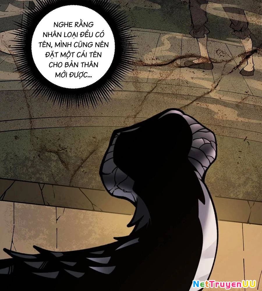 Lão xà tu tiên truyện Chapter 1 - Trang 2