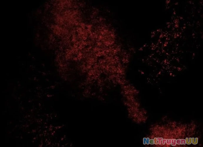 Đại Pháp Sư Của Tổ Đội Hồi Quy Chapter 0 - Trang 2