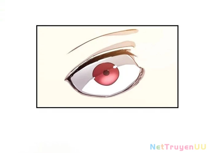 Đại Pháp Sư Của Tổ Đội Hồi Quy Chapter 0 - Trang 2