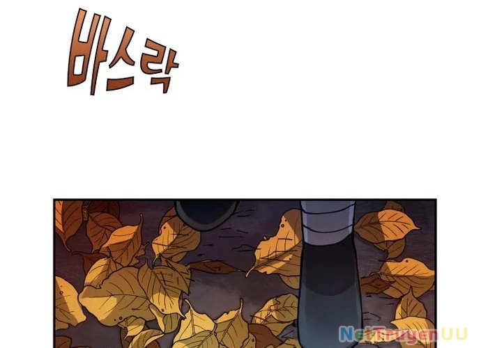 Đại Pháp Sư Của Tổ Đội Hồi Quy Chapter 8 - Trang 2