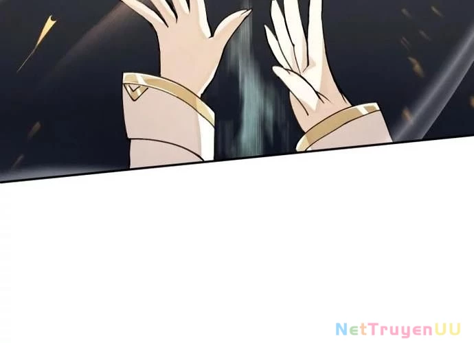 Đại Pháp Sư Của Tổ Đội Hồi Quy Chapter 10 - Trang 2