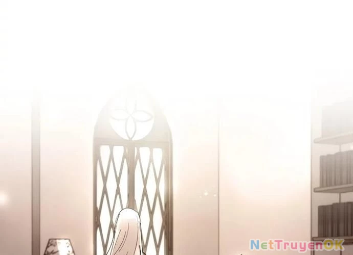 Đại Pháp Sư Của Tổ Đội Hồi Quy Chapter 17 - Trang 2