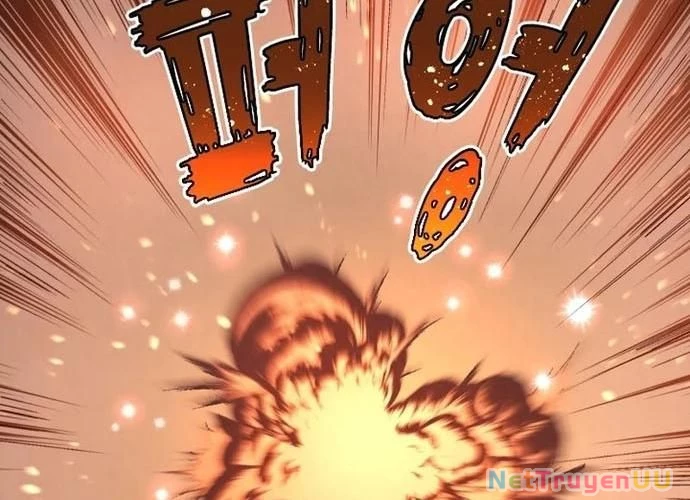 Đại Pháp Sư Của Tổ Đội Hồi Quy Chapter 19 - Trang 2