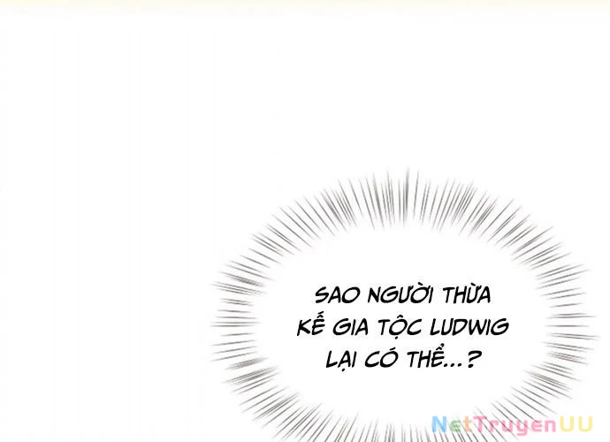 Đại Pháp Sư Của Tổ Đội Hồi Quy Chapter 24 - Trang 2