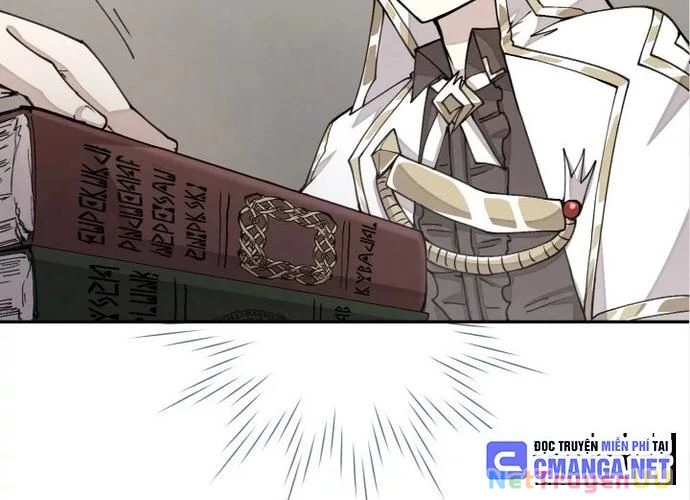 Đại Pháp Sư Của Tổ Đội Hồi Quy Chapter 27 - Trang 2