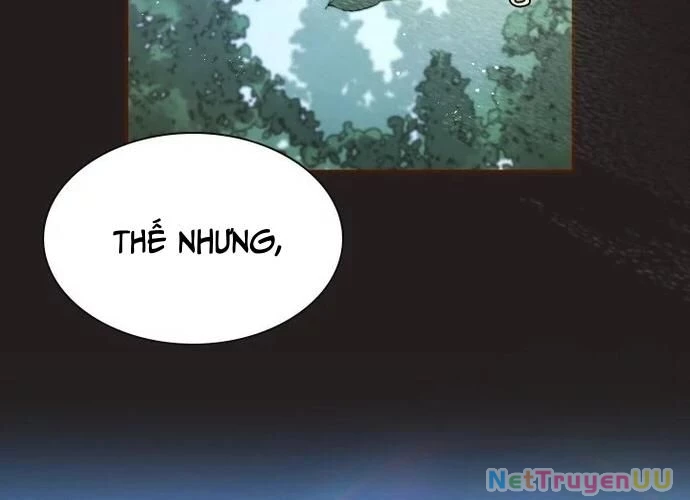 Đại Pháp Sư Của Tổ Đội Hồi Quy Chapter 27 - Trang 2