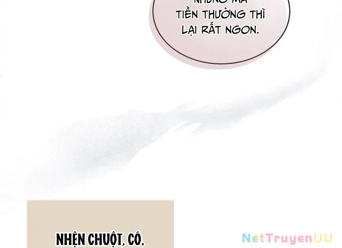 Đại Pháp Sư Của Tổ Đội Hồi Quy Chapter 30 - Trang 2
