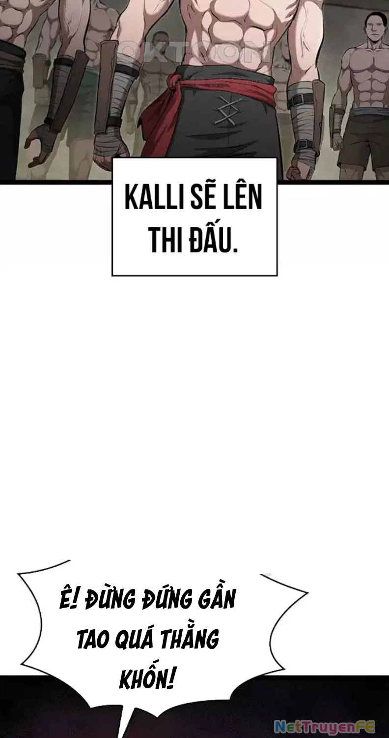 Nhà Vô Địch Kalli Chapter 78 - Trang 4