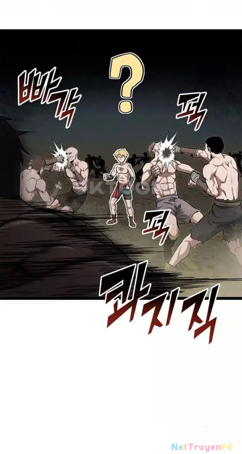 Nhà Vô Địch Kalli Chapter 78 - Trang 4
