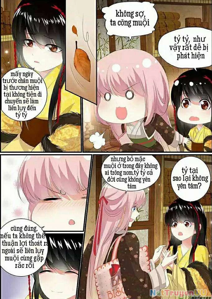 Truy Tinh Trục Nguyệt Chapter 8 - Trang 3