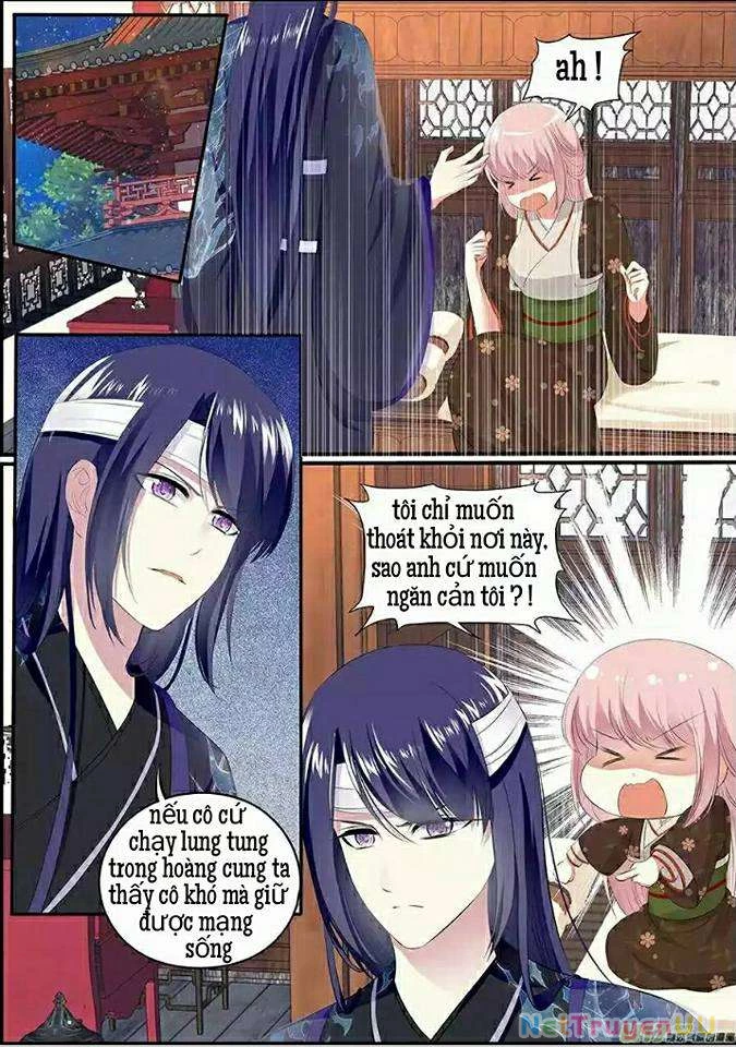 Truy Tinh Trục Nguyệt Chapter 8 - Trang 3