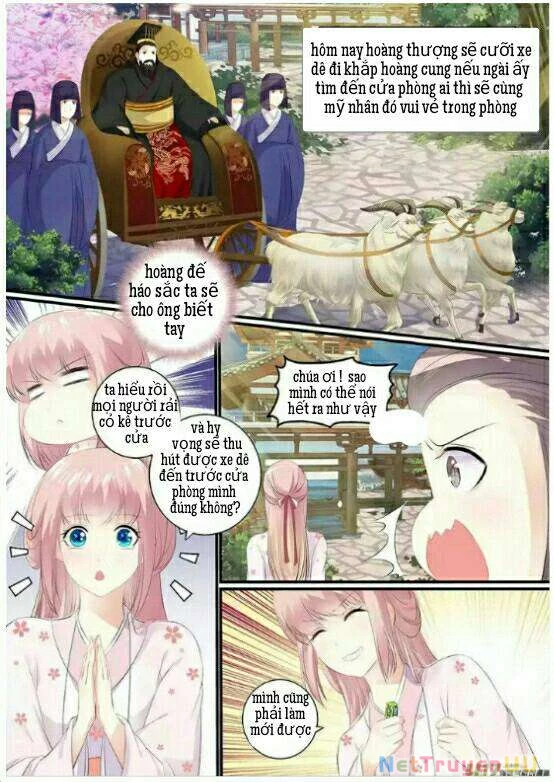 Truy Tinh Trục Nguyệt Chapter 8 - Trang 3