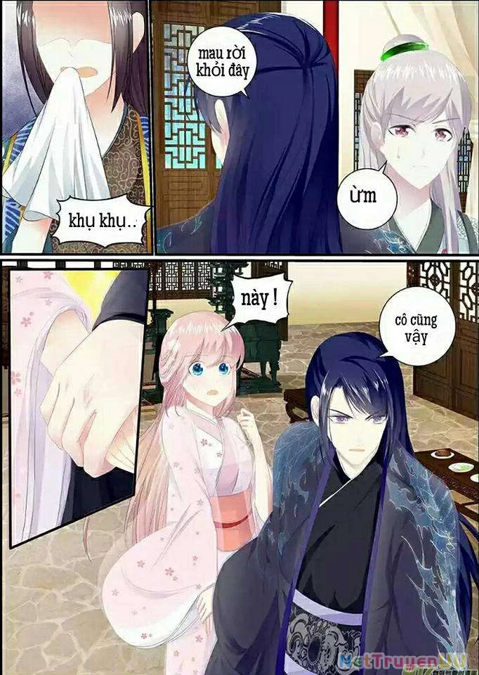 Truy Tinh Trục Nguyệt Chapter 8 - Trang 3