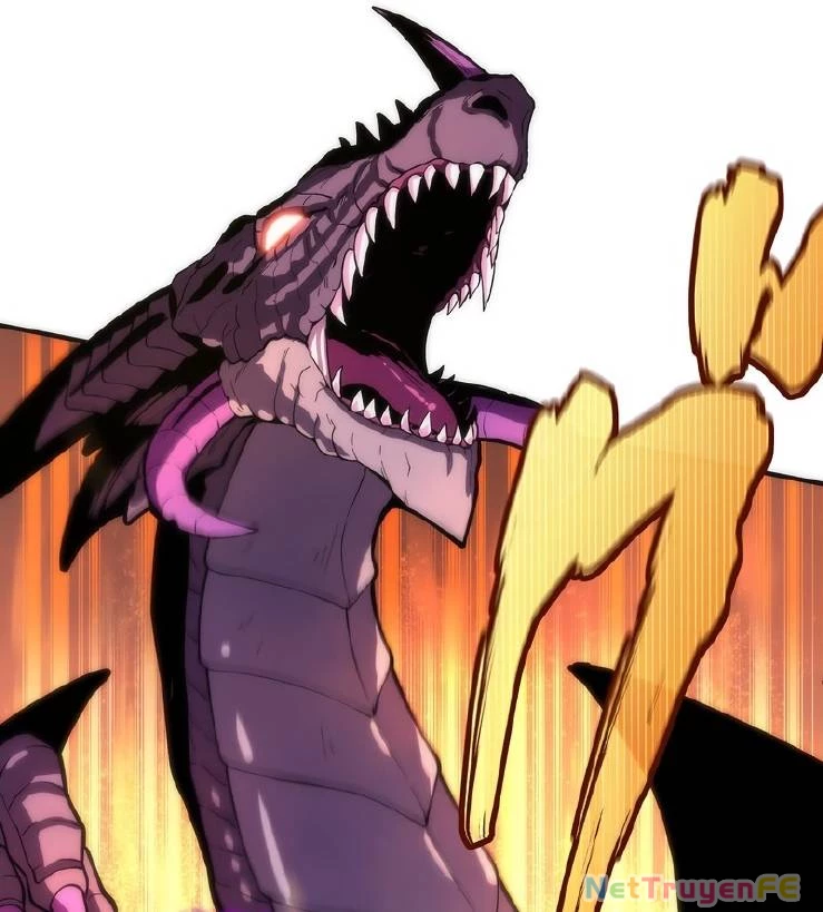 Tân Thủ - Từng Xếp Hạng Nhất Thế Giới Chapter 0 - Trang 2