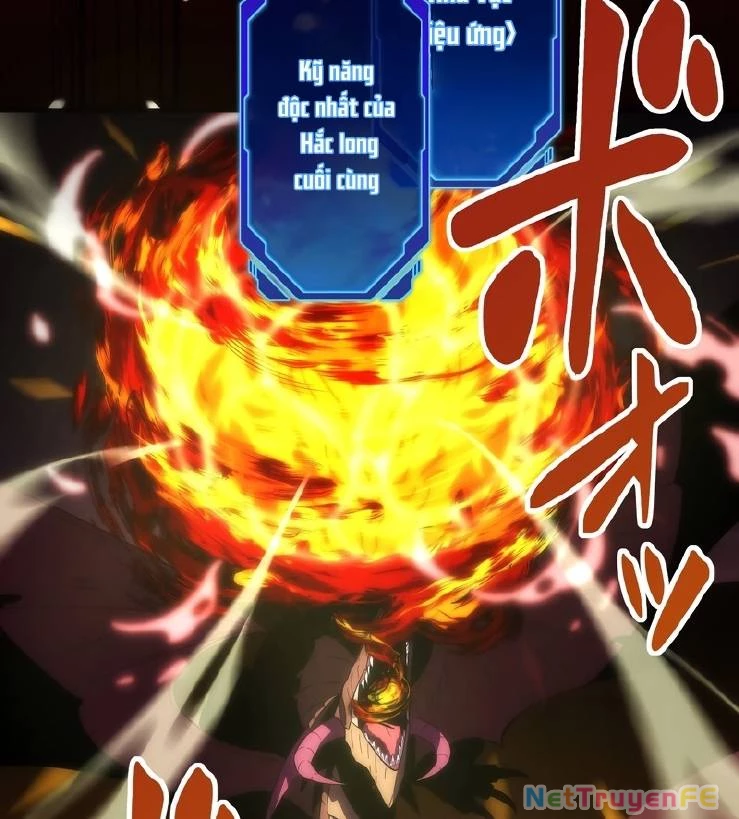 Tân Thủ - Từng Xếp Hạng Nhất Thế Giới Chapter 0 - Trang 2