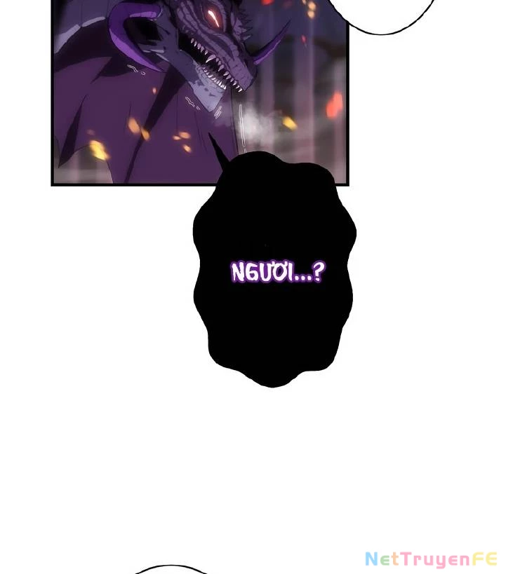 Tân Thủ - Từng Xếp Hạng Nhất Thế Giới Chapter 0 - Trang 2