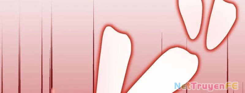 Tân Thủ - Từng Xếp Hạng Nhất Thế Giới Chapter 0 - Trang 2