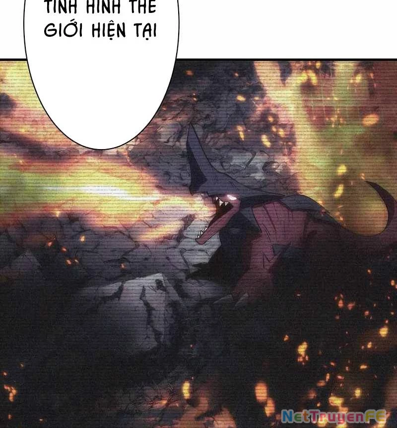 Tân Thủ - Từng Xếp Hạng Nhất Thế Giới Chapter 2 - Trang 2