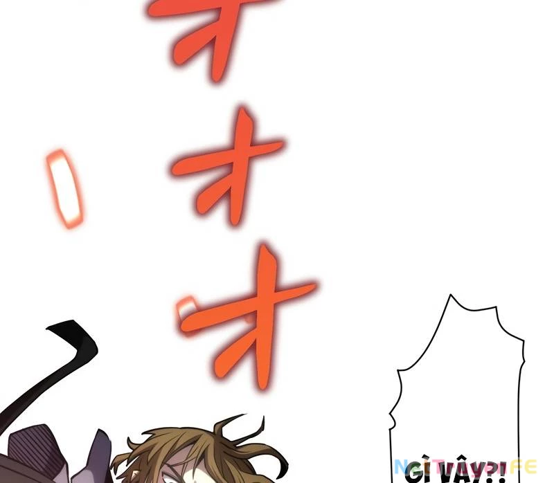 Tân Thủ - Từng Xếp Hạng Nhất Thế Giới Chapter 3 - Trang 2