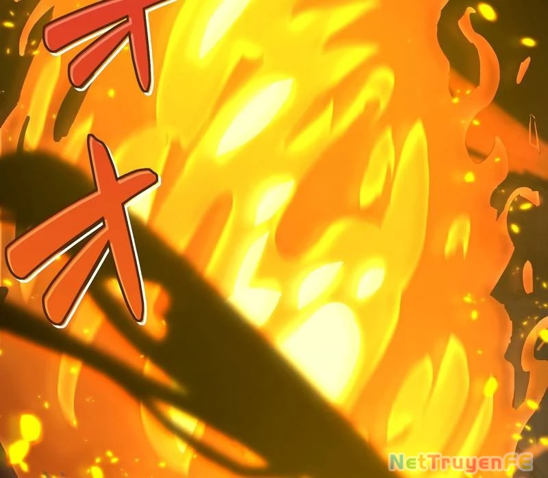 Tân Thủ - Từng Xếp Hạng Nhất Thế Giới Chapter 3 - Trang 2