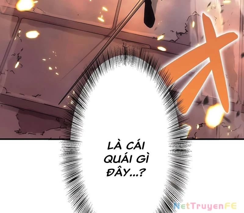 Tân Thủ - Từng Xếp Hạng Nhất Thế Giới Chapter 3 - Trang 2