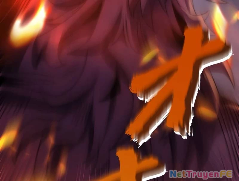 Tân Thủ - Từng Xếp Hạng Nhất Thế Giới Chapter 3 - Trang 2