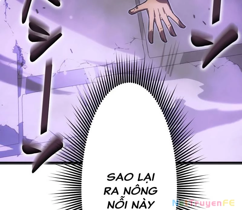 Tân Thủ - Từng Xếp Hạng Nhất Thế Giới Chapter 3 - Trang 2