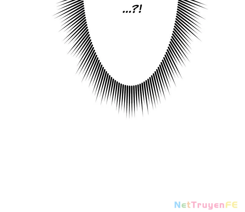 Tân Thủ - Từng Xếp Hạng Nhất Thế Giới Chapter 3 - Trang 2