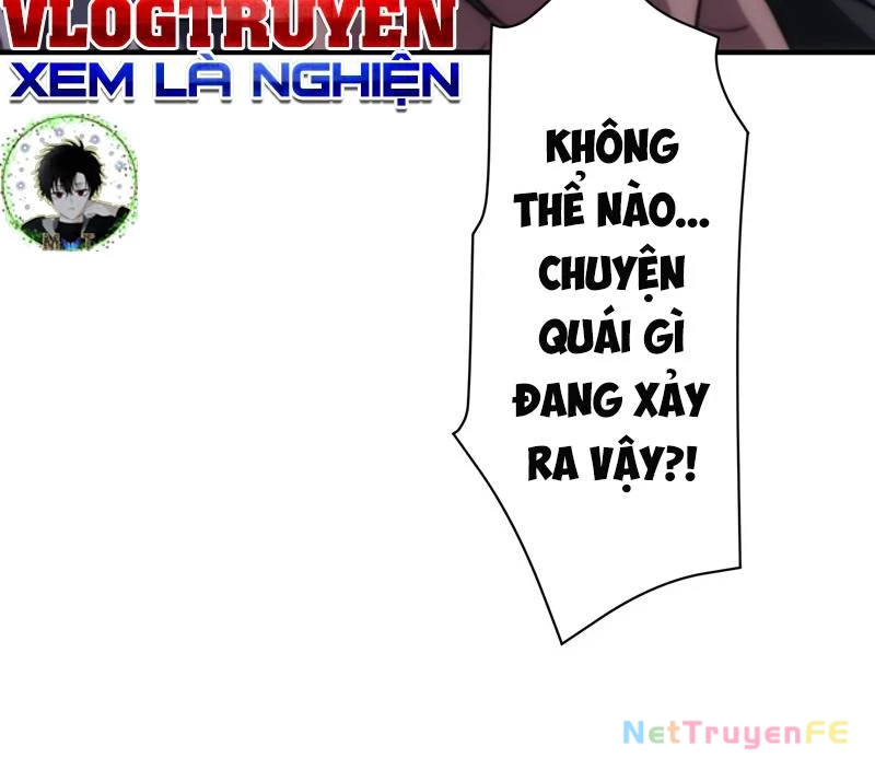 Tân Thủ - Từng Xếp Hạng Nhất Thế Giới Chapter 3 - Trang 2