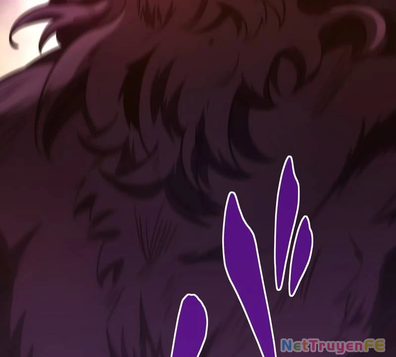 Tân Thủ - Từng Xếp Hạng Nhất Thế Giới Chapter 3 - Trang 2