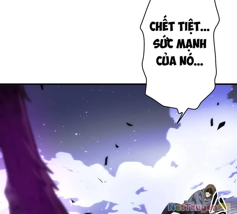 Tân Thủ - Từng Xếp Hạng Nhất Thế Giới Chapter 3 - Trang 2