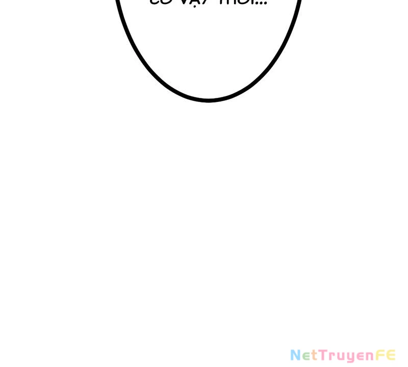 Tân Thủ - Từng Xếp Hạng Nhất Thế Giới Chapter 3 - Trang 2