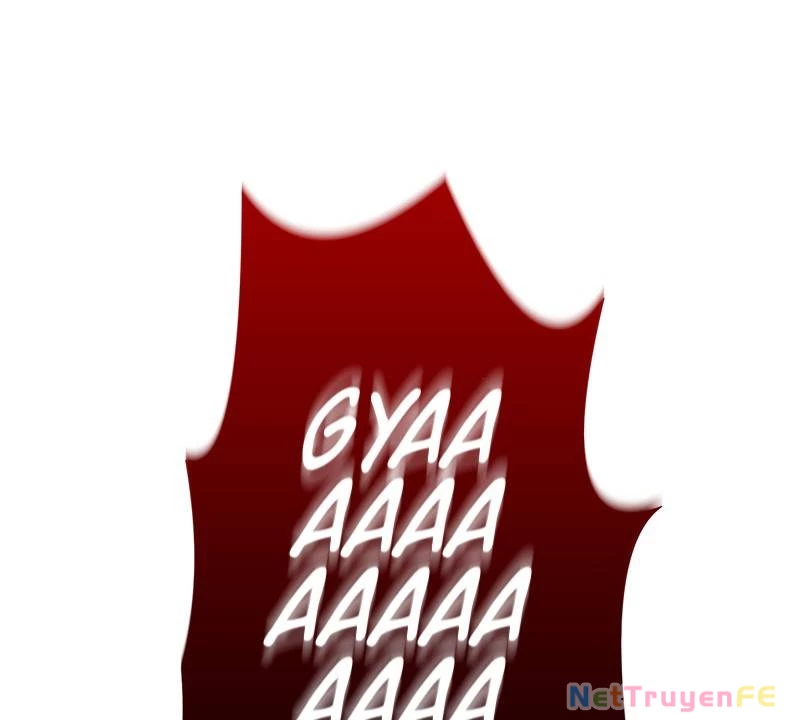 Tân Thủ - Từng Xếp Hạng Nhất Thế Giới Chapter 3 - Trang 2