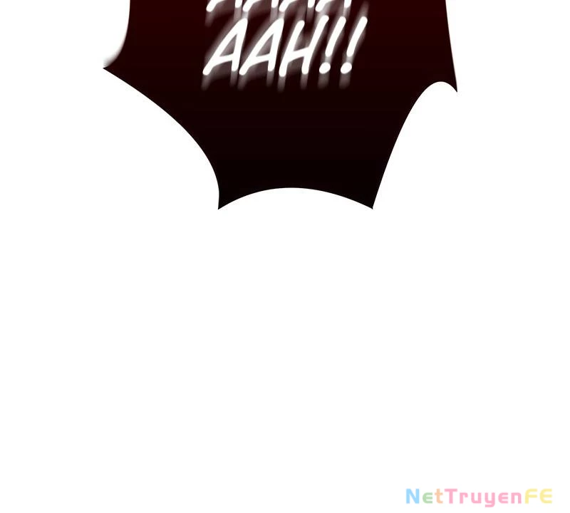 Tân Thủ - Từng Xếp Hạng Nhất Thế Giới Chapter 3 - Trang 2