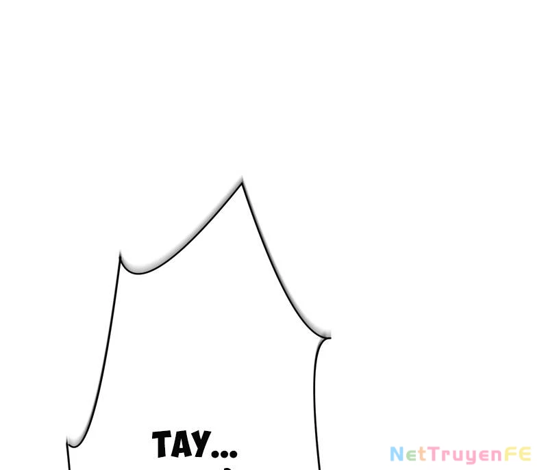 Tân Thủ - Từng Xếp Hạng Nhất Thế Giới Chapter 3 - Trang 2