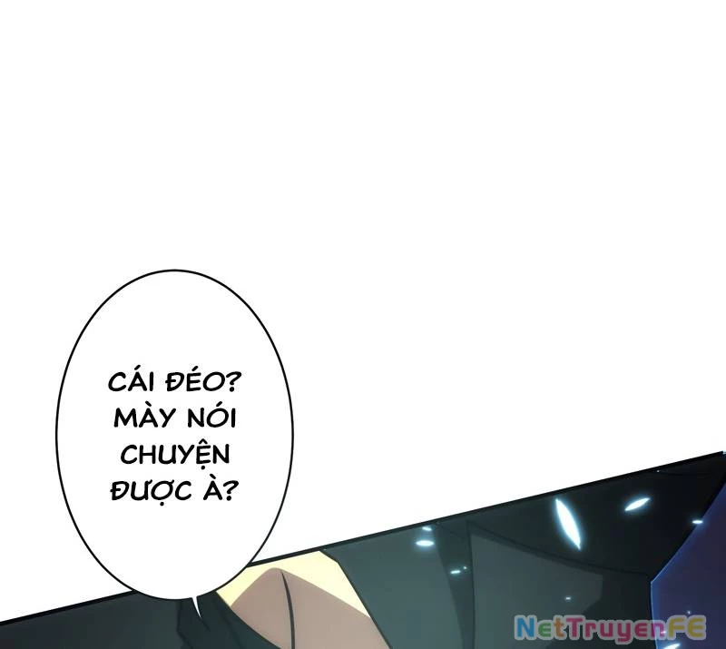 Tân Thủ - Từng Xếp Hạng Nhất Thế Giới Chapter 3 - Trang 2