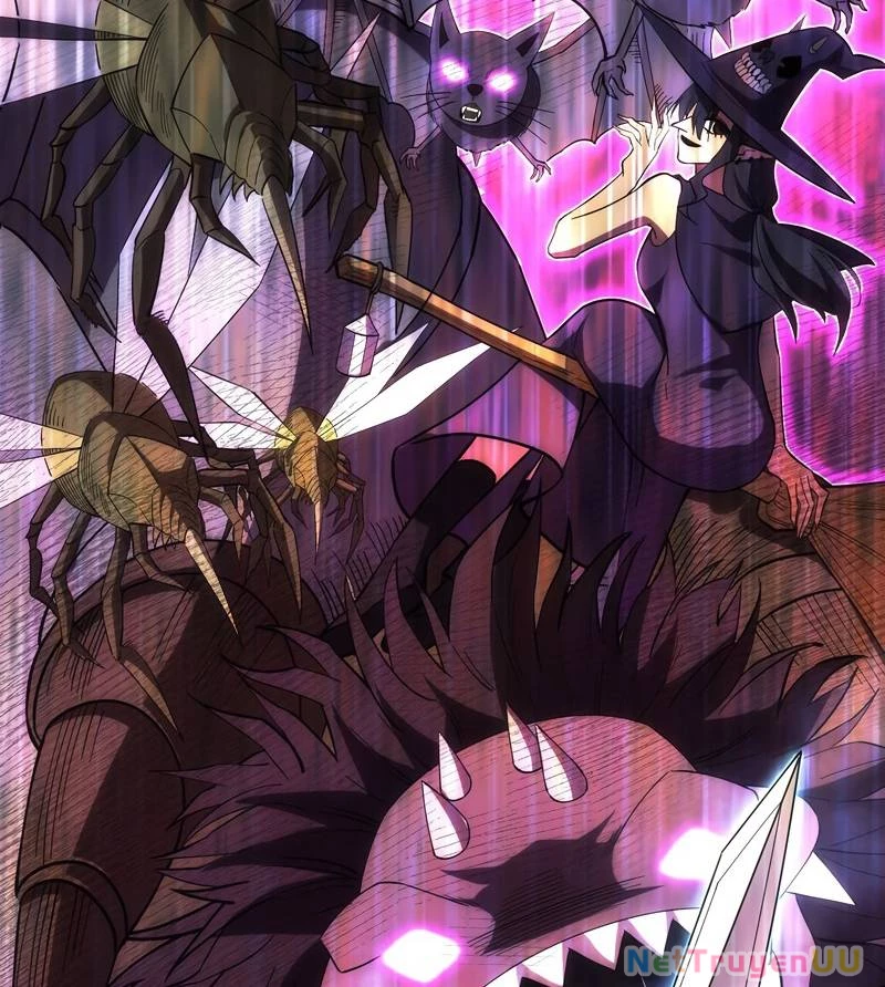 Tân Thủ - Từng Xếp Hạng Nhất Thế Giới Chapter 4 - Trang 2