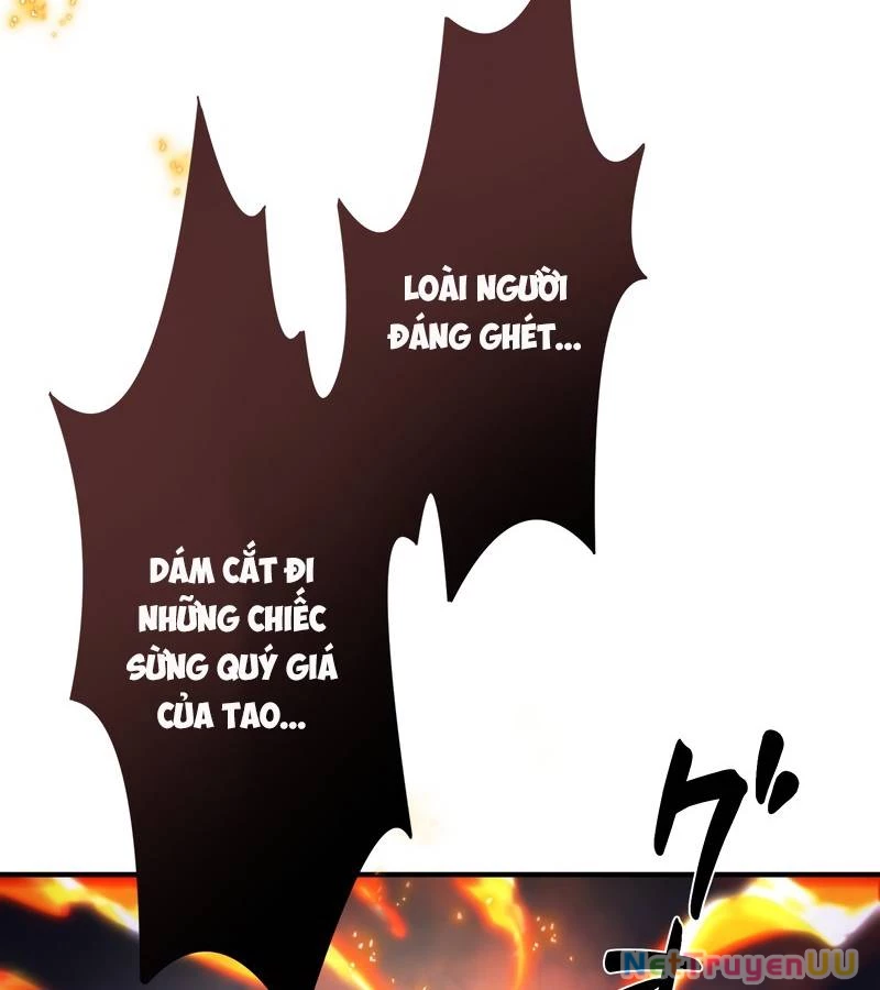 Tân Thủ - Từng Xếp Hạng Nhất Thế Giới Chapter 4 - Trang 2