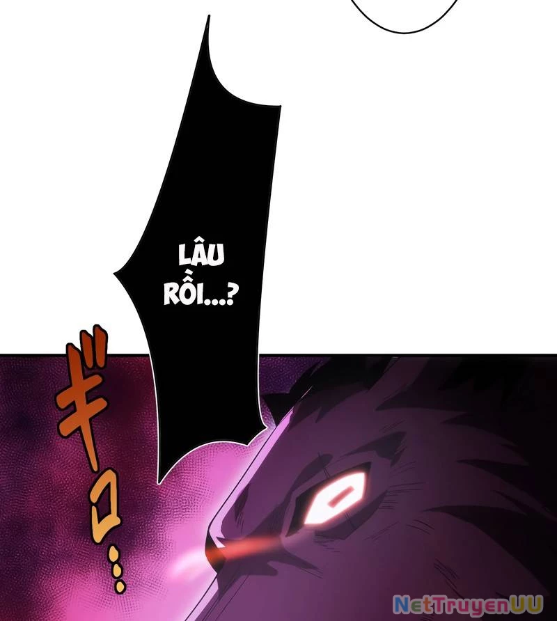 Tân Thủ - Từng Xếp Hạng Nhất Thế Giới Chapter 4 - Trang 2