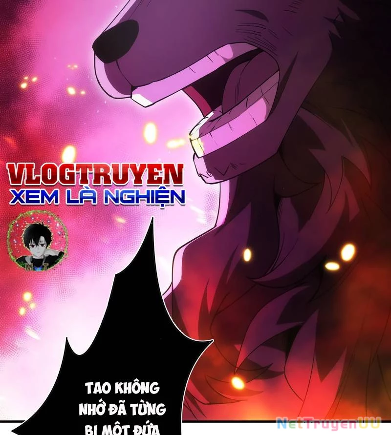 Tân Thủ - Từng Xếp Hạng Nhất Thế Giới Chapter 4 - Trang 2