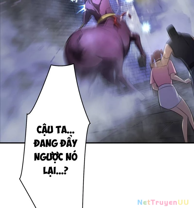 Tân Thủ - Từng Xếp Hạng Nhất Thế Giới Chapter 4 - Trang 2