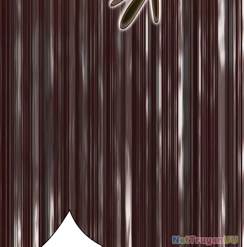 Tân Thủ - Từng Xếp Hạng Nhất Thế Giới Chapter 4 - Trang 2