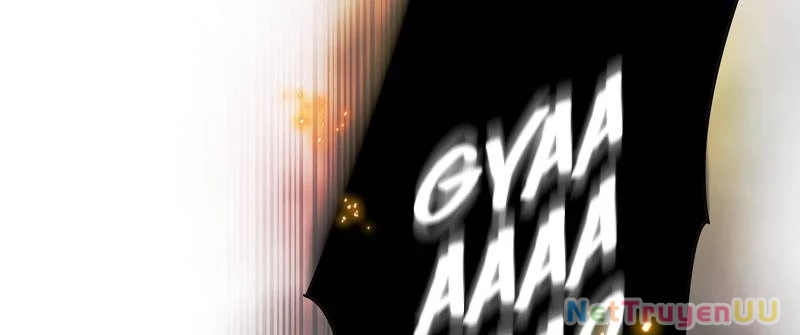 Tân Thủ - Từng Xếp Hạng Nhất Thế Giới Chapter 4 - Trang 2