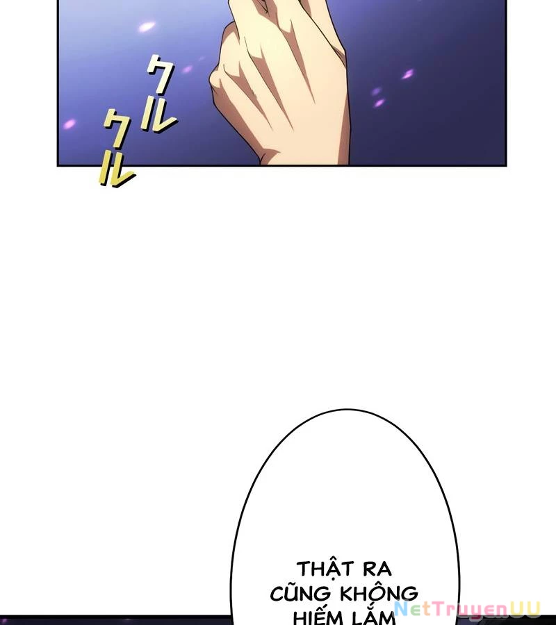 Tân Thủ - Từng Xếp Hạng Nhất Thế Giới Chapter 5 - Trang 2