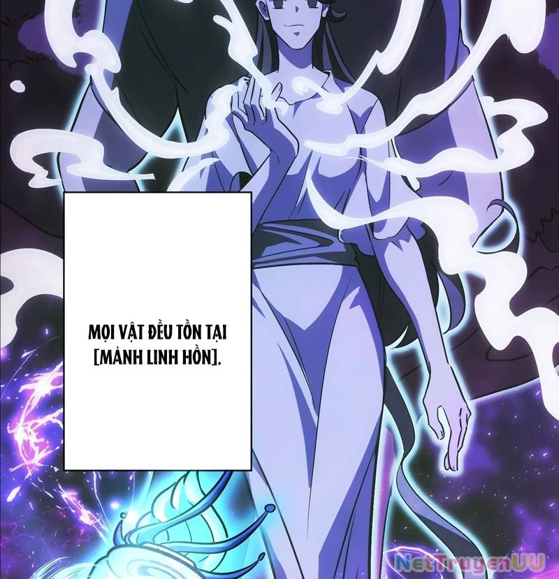 Tân Thủ - Từng Xếp Hạng Nhất Thế Giới Chapter 5 - Trang 2