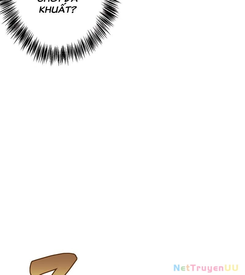 Tân Thủ - Từng Xếp Hạng Nhất Thế Giới Chapter 5 - Trang 2