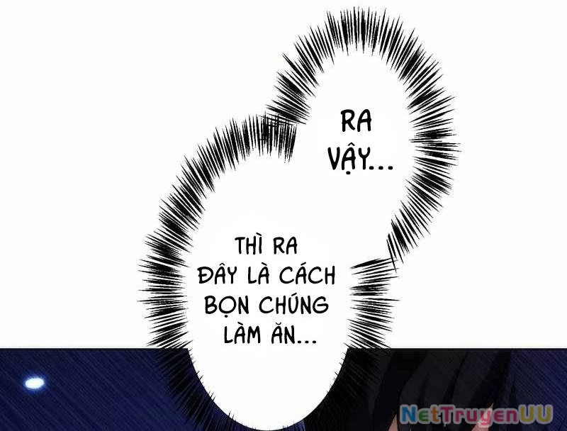 Tân Thủ - Từng Xếp Hạng Nhất Thế Giới Chapter 6 - Trang 2