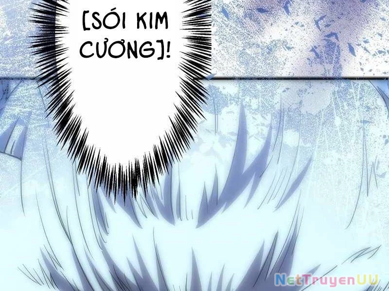 Tân Thủ - Từng Xếp Hạng Nhất Thế Giới Chapter 6 - Trang 2