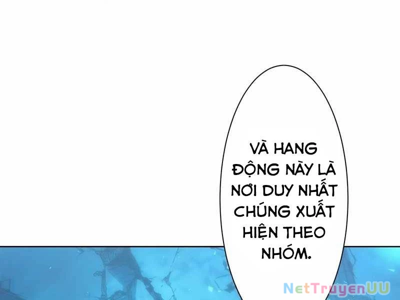 Tân Thủ - Từng Xếp Hạng Nhất Thế Giới Chapter 6 - Trang 2